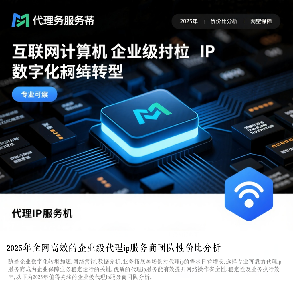 2025年全网高效的企业级代理ip服务商团队性价比分析