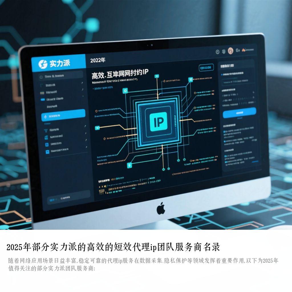 2025年部分实力派的高效的短效代理ip团队服务商名录