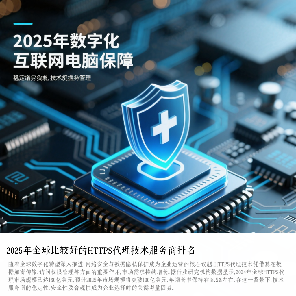 2025年全球比较好的HTTPS代理技术服务商排名