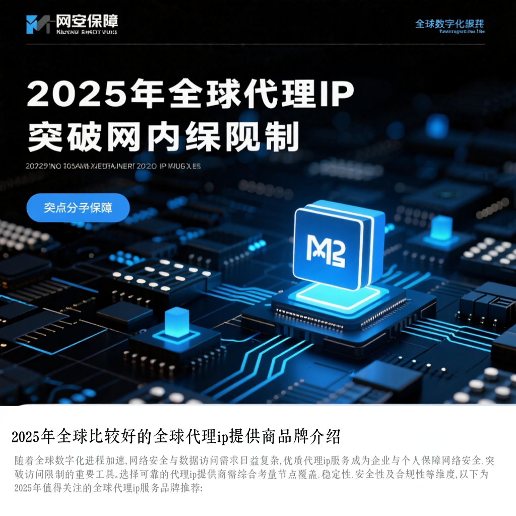 2025年全球比较好的全球代理ip提供商品牌介绍