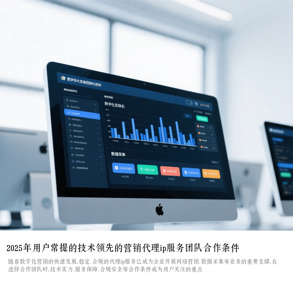 2025年用户常提的技术领先的营销代理ip服务团队合作条件