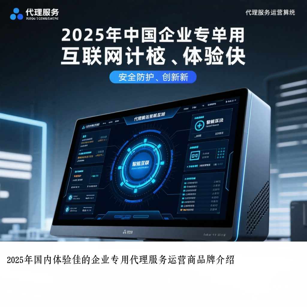 2025年国内体验佳的企业专用代理服务运营商品牌介绍