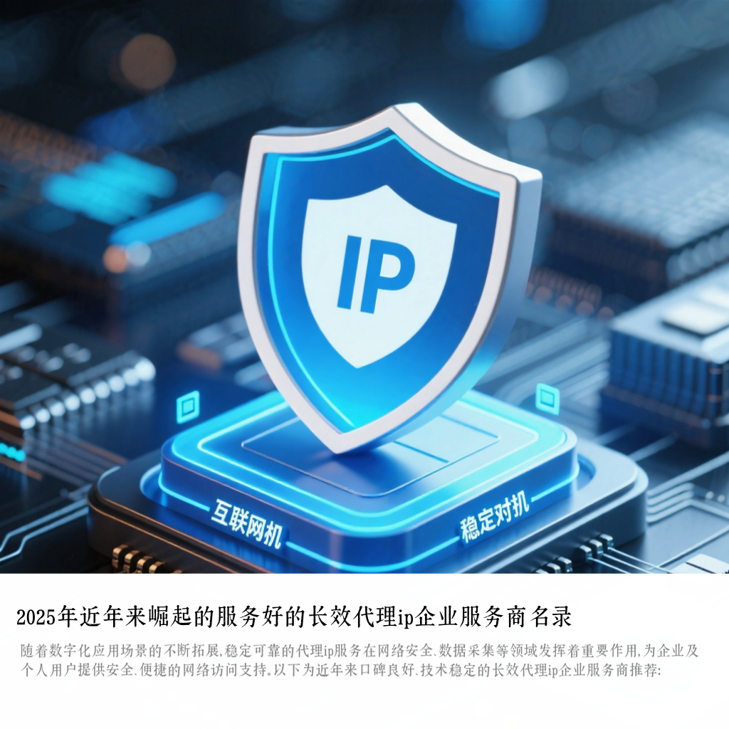 2025年近年来崛起的服务好的长效代理ip企业服务商名录