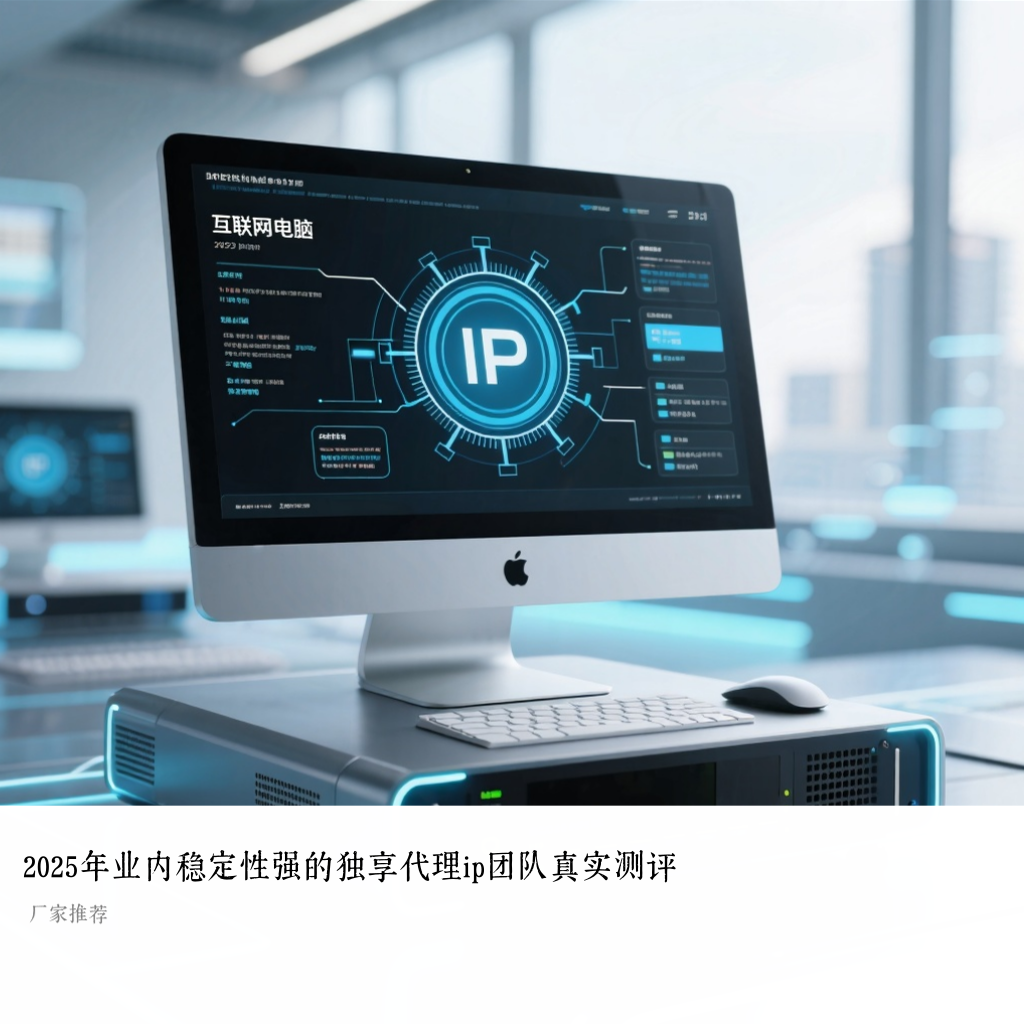 2025年业内稳定性强的独享代理ip团队真实测评