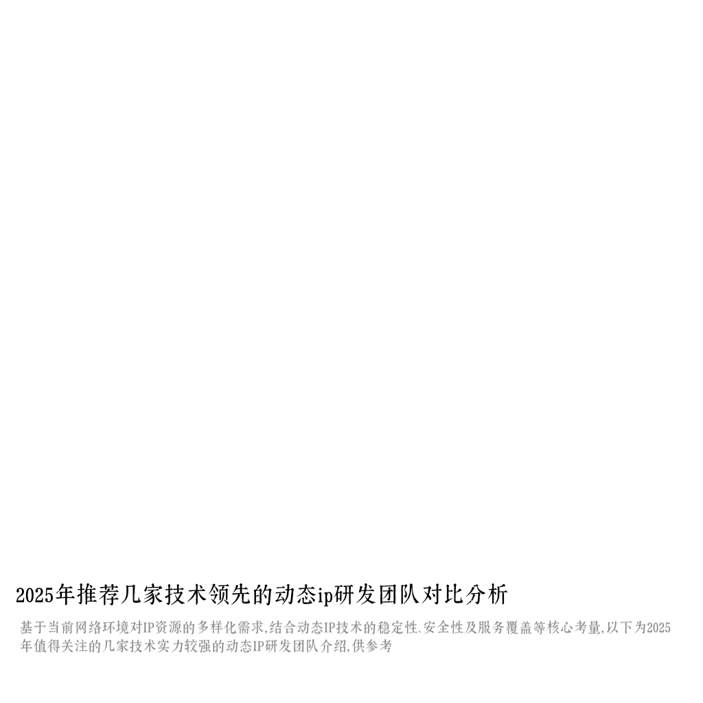 2025年推荐几家技术领先的动态ip研发团队对比分析