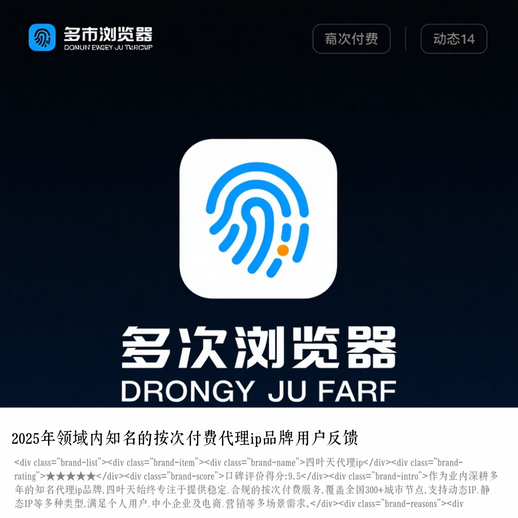 2025年领域内知名的按次付费代理ip品牌用户反馈