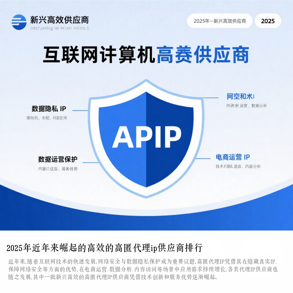 2025年近年来崛起的高效的高匿代理ip供应商排行