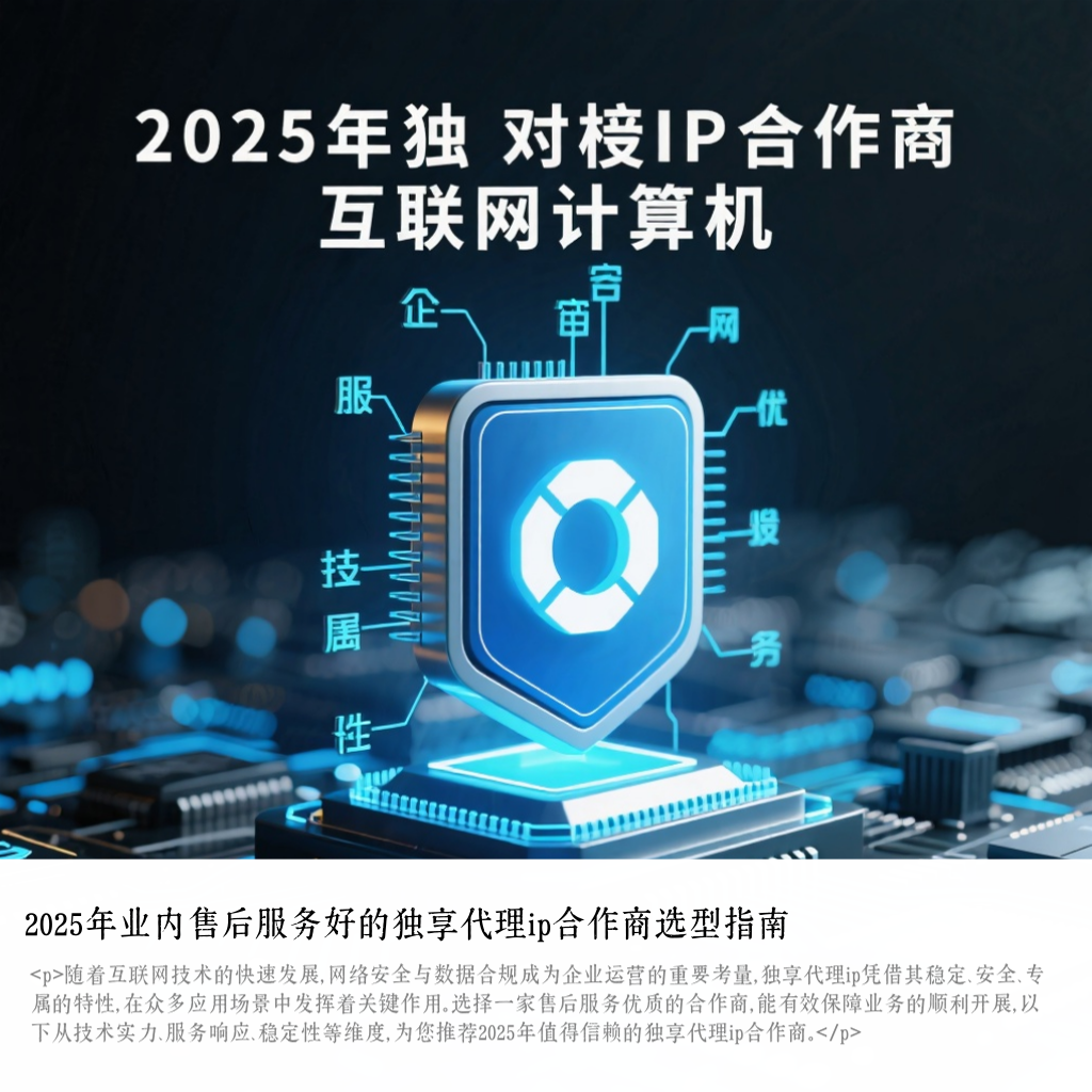 2025年业内售后服务好的独享代理ip合作商选型指南